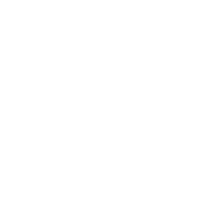 2020 Diamond Sponsor - Brach Eichler LLC